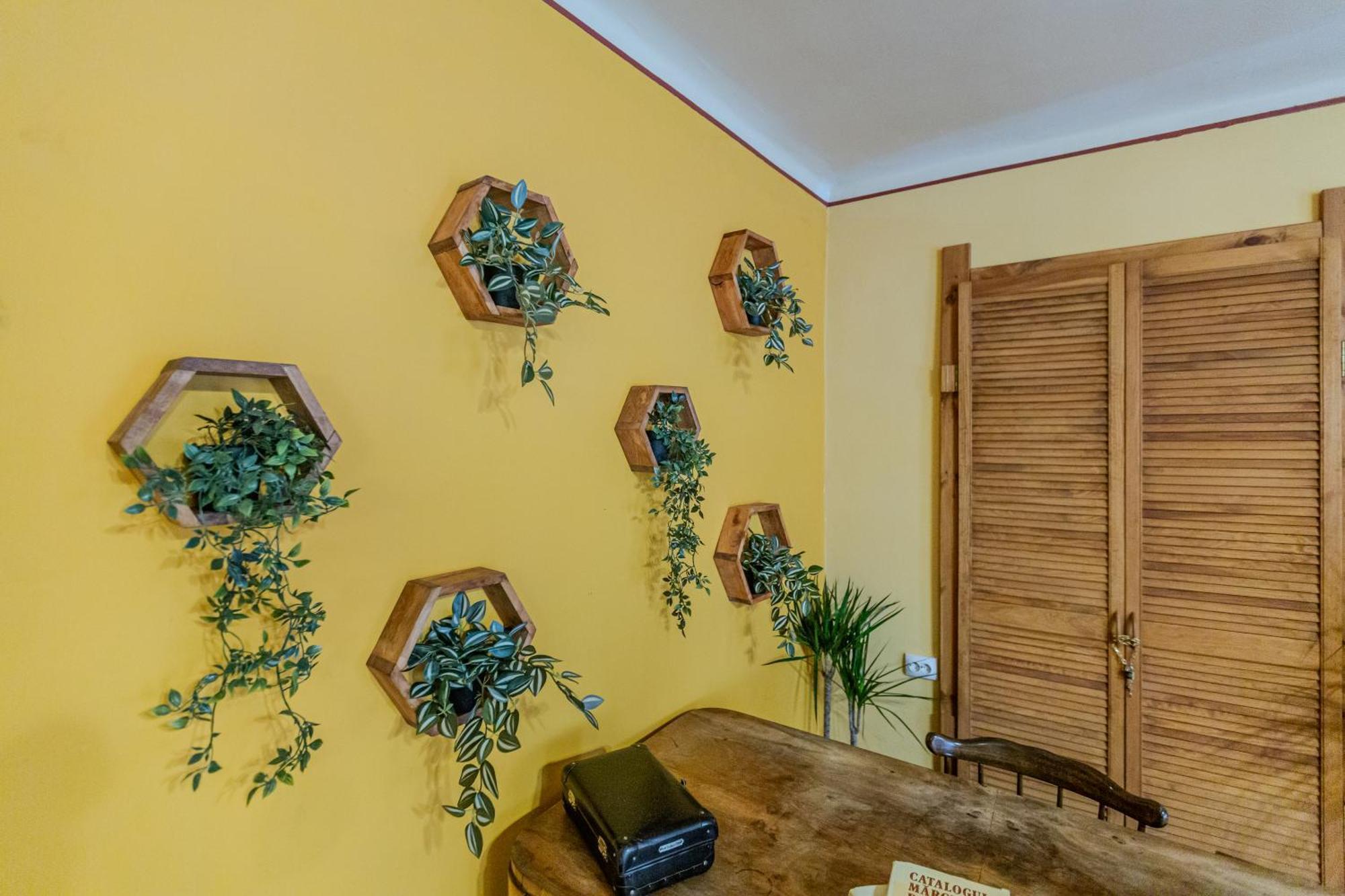 Tree House-Old Town Brasov 아파트 외부 사진