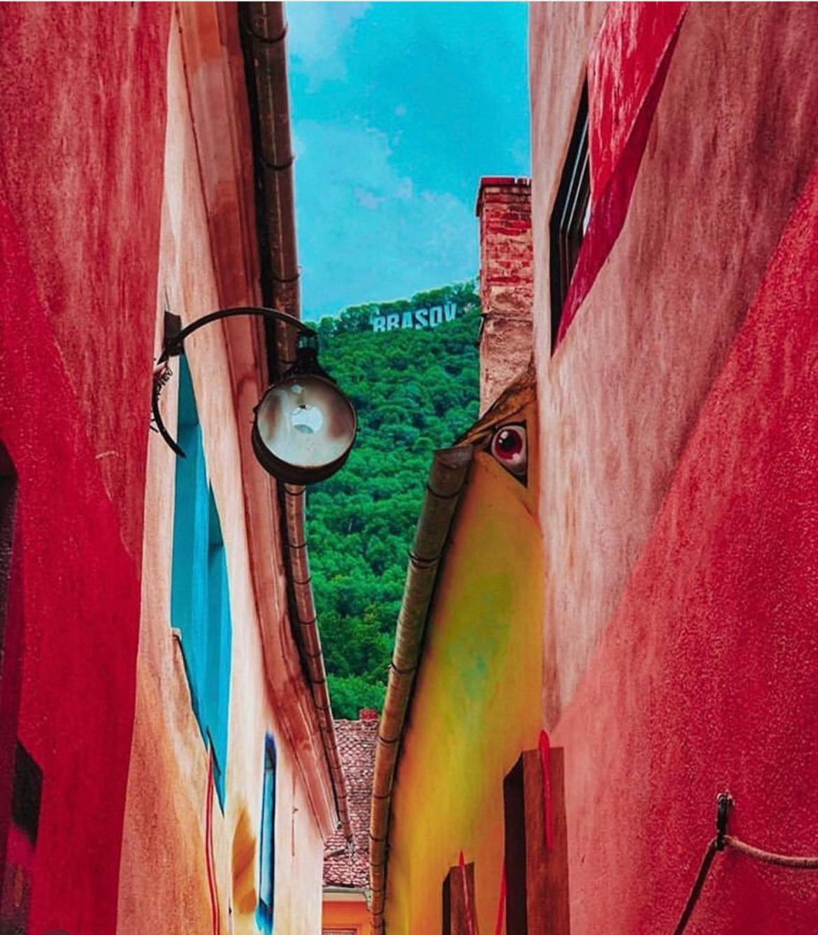 Tree House-Old Town Brasov 아파트 외부 사진