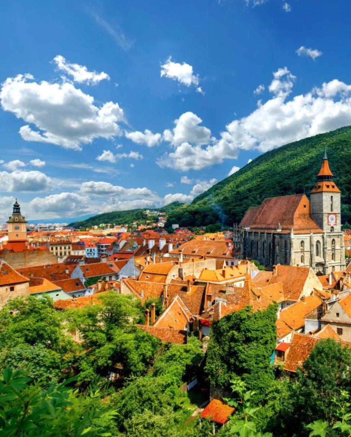 Tree House-Old Town Brasov 아파트 외부 사진