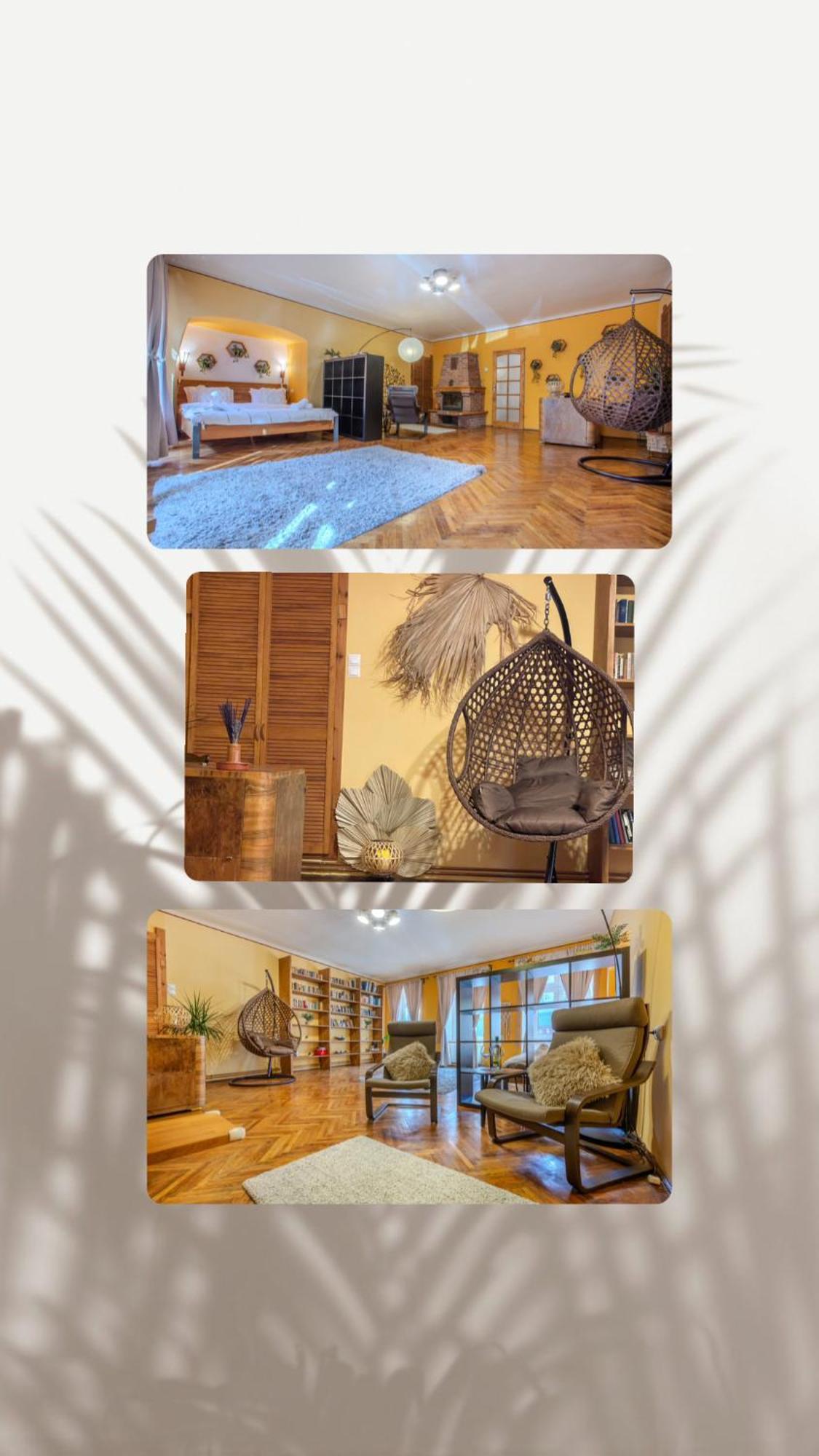 Tree House-Old Town Brasov 아파트 외부 사진